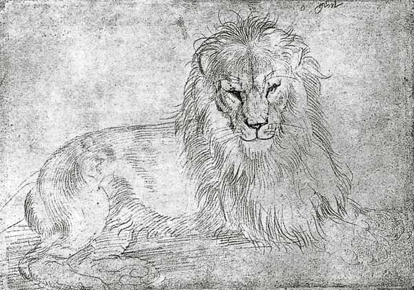 Liegender Loewe from Albrecht Dürer