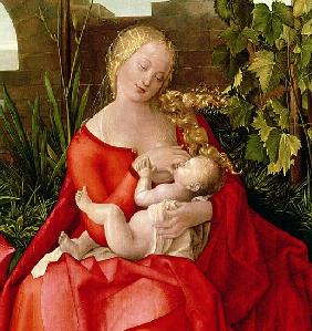 Virgin and Child ''Madonna with the Iris'', 1508 (detail of 22578)