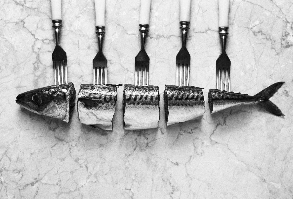 Mackerel&Forks from Aleksandrova Karina