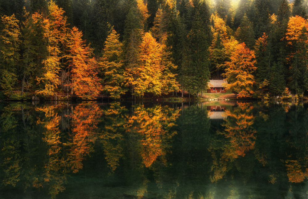 Autumn impressions from Ales Krivec