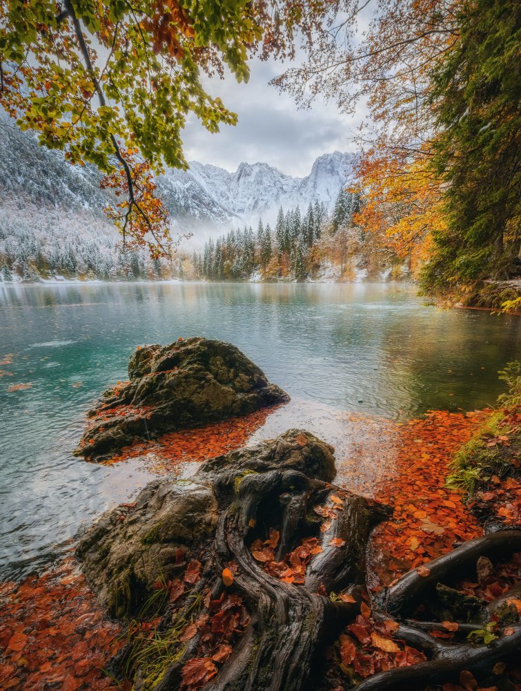 Autumn layers from Ales Krivec