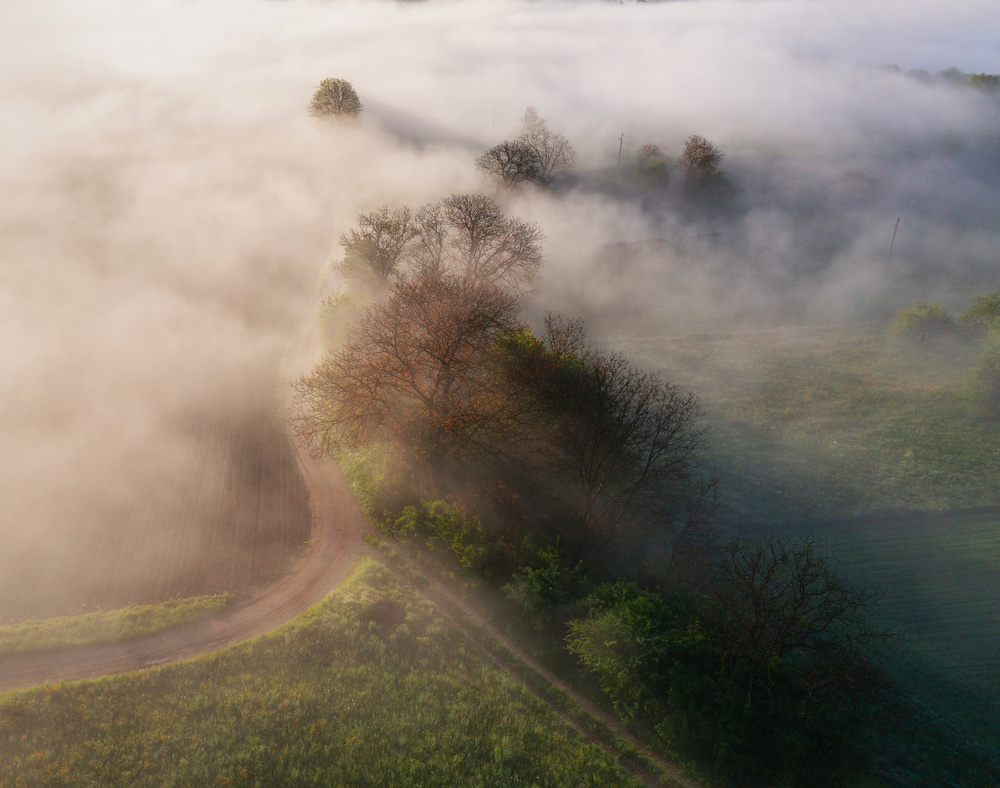 Morning mist from Ales Krivec