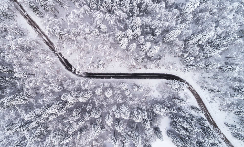 Road through the winter forest from Ales Krivec