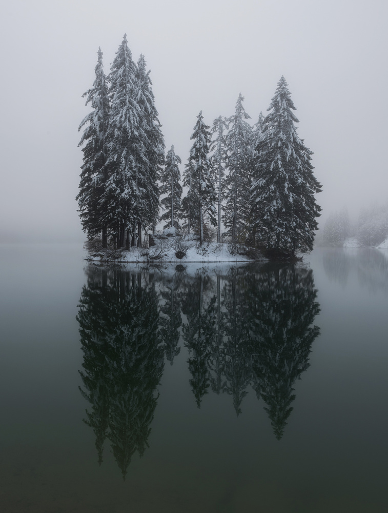Winter reflection from Ales Krivec