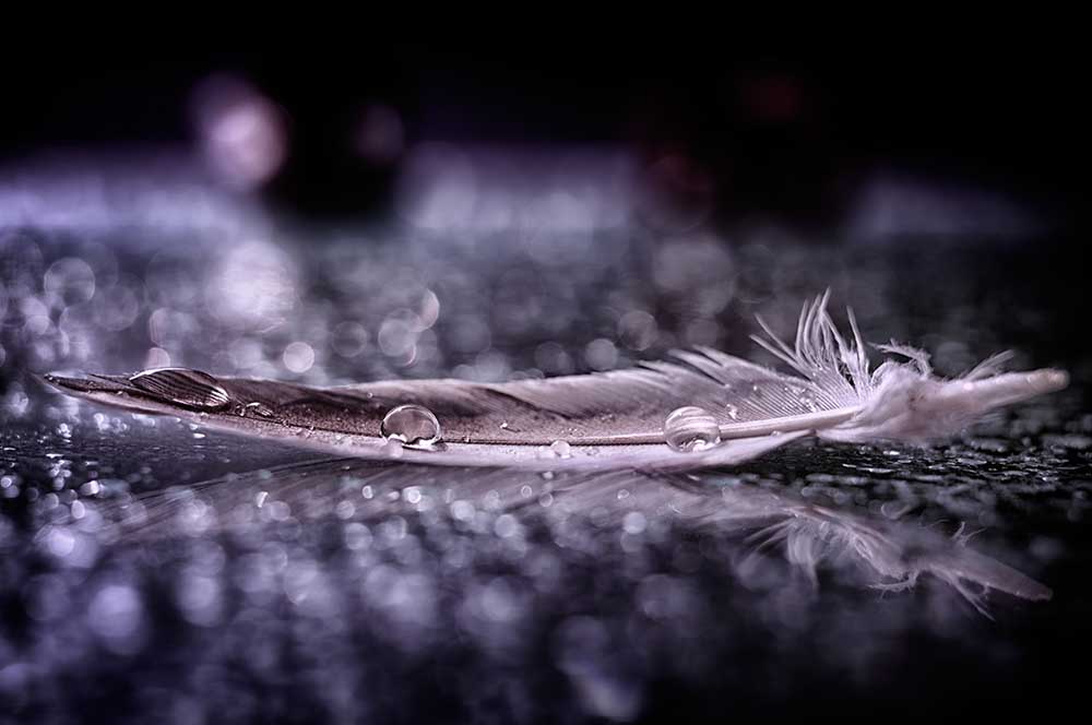Feather and Drop II from Alessandro Fabiano