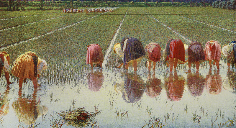 For eighty cents (work in the paddy-field) from Alessandro Morbelli