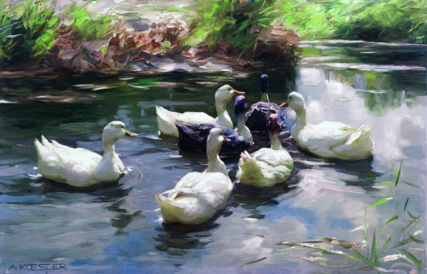 Ducks in a Pond from Alexander Koester