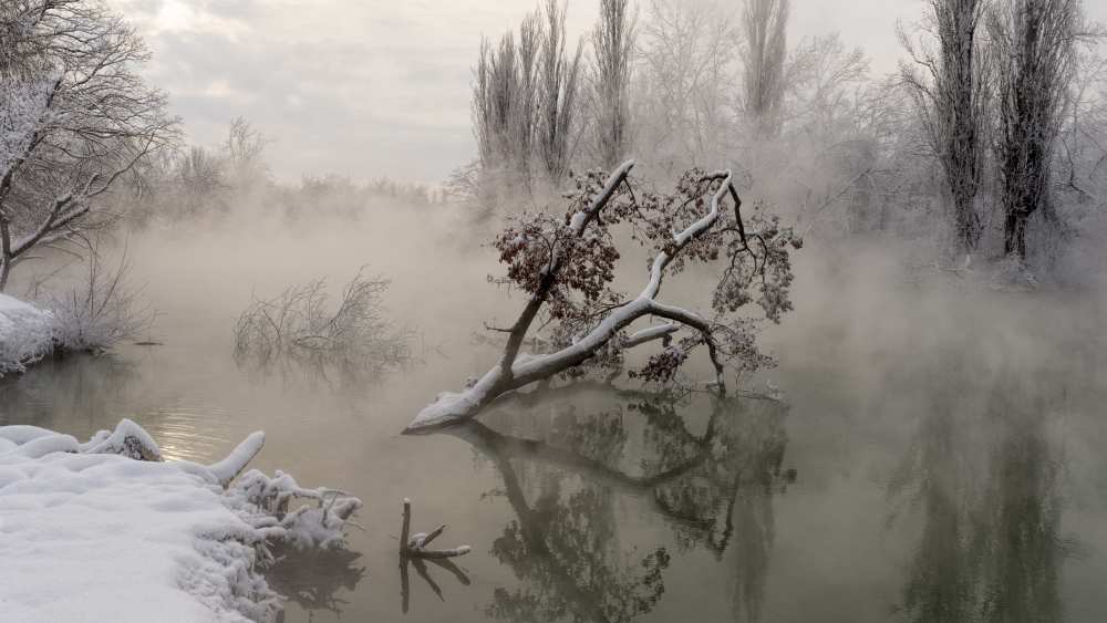 Fog over the water from Alexander Plekhanov