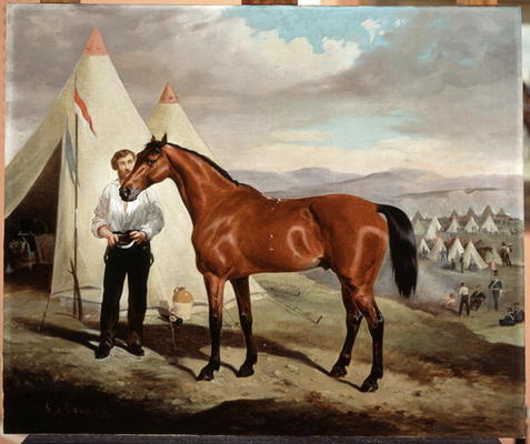 Sir Briggs, horse of Lord Tredegar (1831-1913) of the 17th Lancers, in Camp in Crimea 1854, 1856 (oi from Alfred de Prades