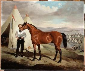 Sir Briggs, horse of Lord Tredegar (1831-1913) of the 17th Lancers, in Camp in Crimea 1854, 1856 (oi