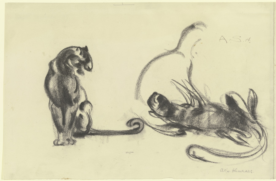 Cats from Alfred Schnaars