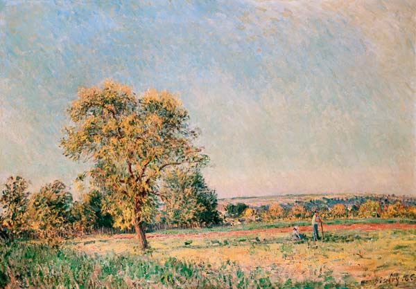 Summer landscape with a big tree. from Alfred Sisley