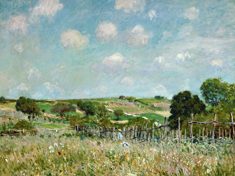 The Meadow. from Alfred Sisley