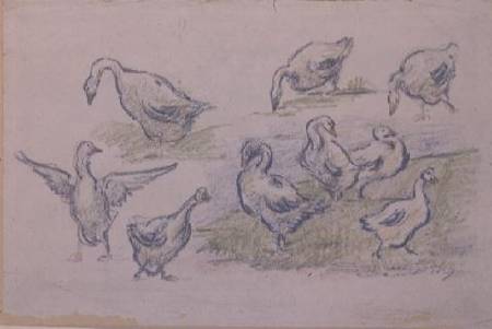 Ducks (crayon) from Alfred Sisley