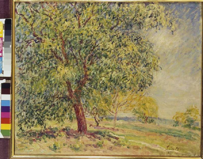 Walnut trees at Sablons. from Alfred Sisley
