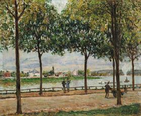Street of Spanish Chestnut Trees by the River
