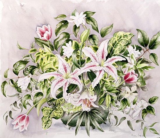 Still life with Tiger Lilies, 1996 (w/c)  from Alison  Cooper
