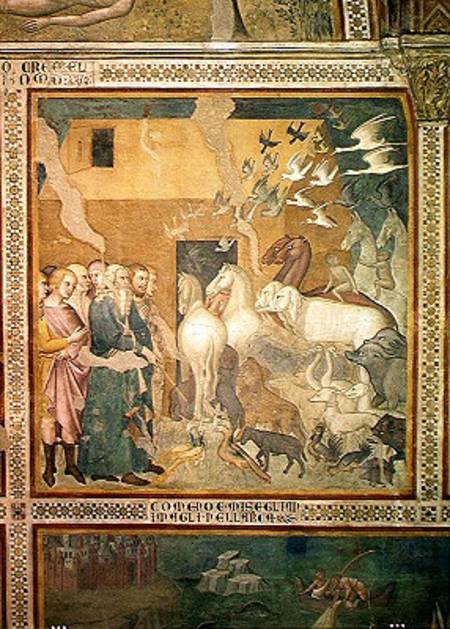 Noah Leading the Animals into the Ark from also Manfredi de Battilori Bartolo di Fredi