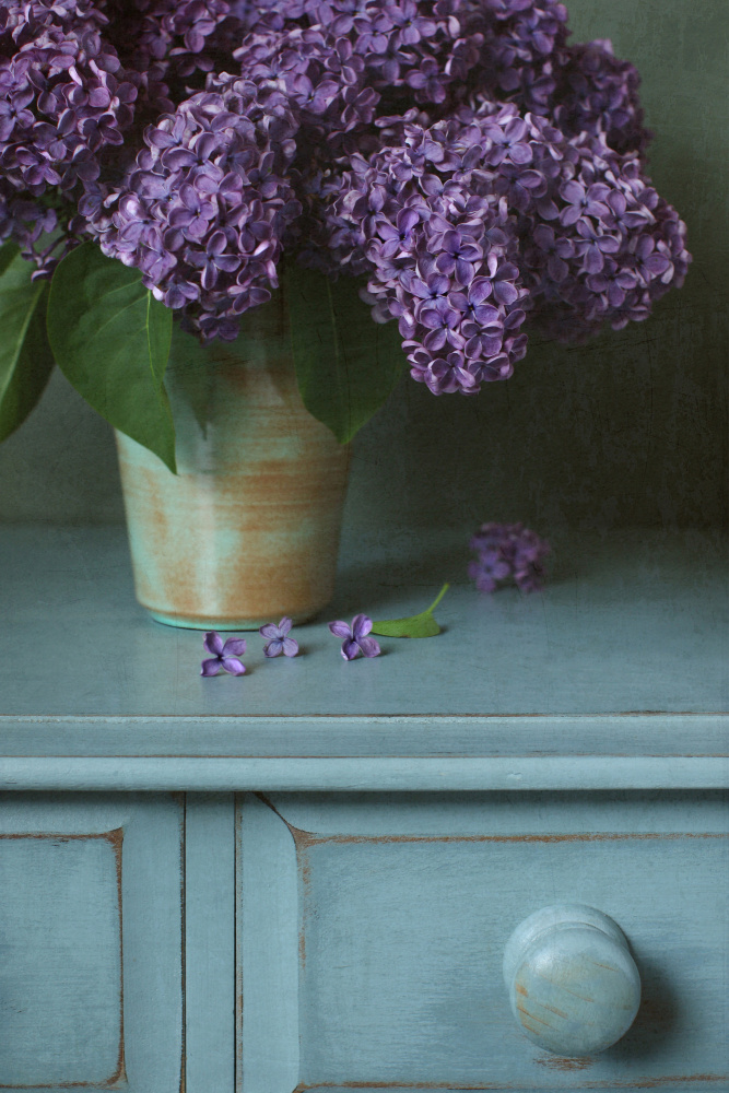 Purple Lilac Still Life from Alyson Fennell