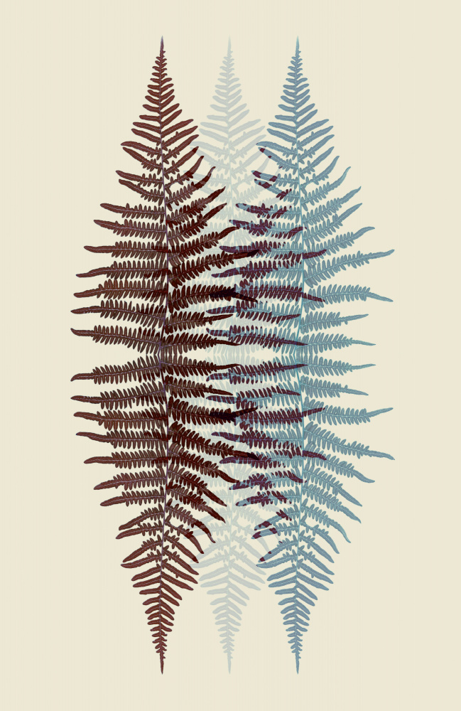 Chocolate and Teal Fern from Alyson Fennell