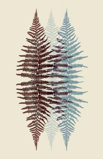 Chocolate and Teal Fern