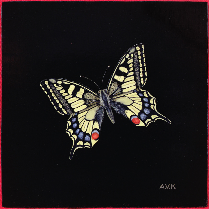 Swallowtail butterfly from  Amelia  Kleiser