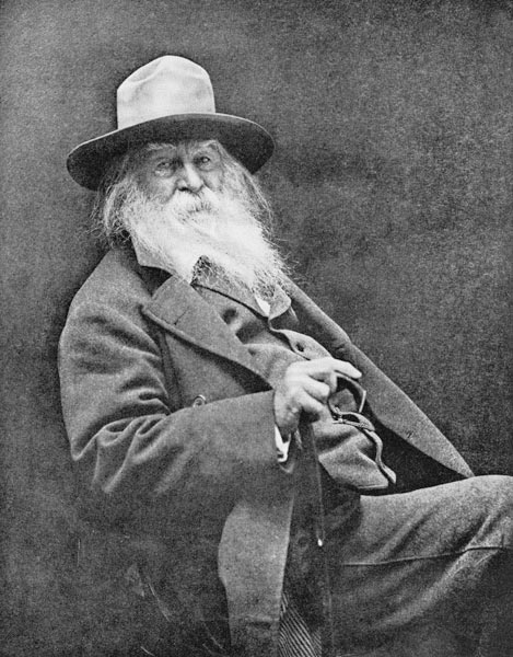 Walt Whitman (1819-91) (b/w photo)  from American Photographer