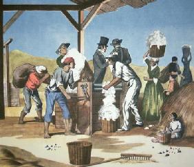 Eli Whitney's (1765-1825) Cotton Gin, operated by black slaves, 1793 (colour litho)
