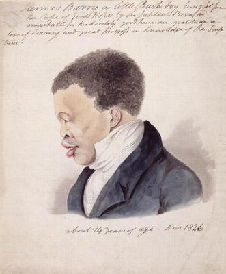 Portrait of Hermes Barry, c.1826 (w/c and ink on paper) from American School, (19th century)