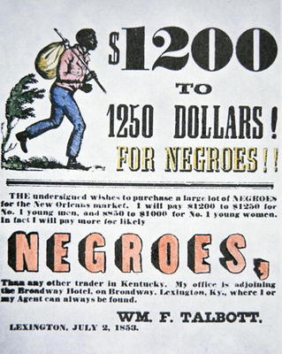 Poster for slave trade, New Orleans, 1853 (colour litho) from American School, (19th century)