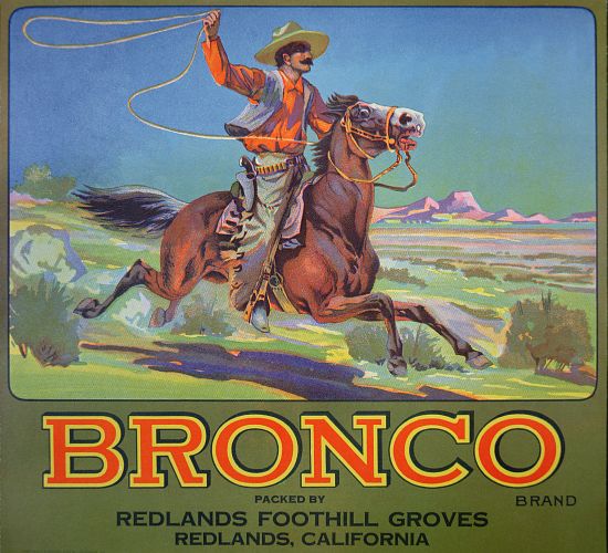 'Bronco Oranges' from American School, (20th century)