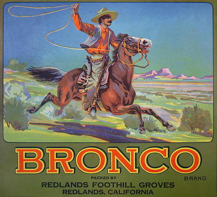 'Bronco Oranges', c.1900 (colour litho) from American School, (20th century)