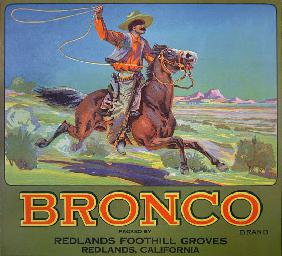 'Bronco Oranges'