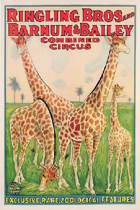 Poster advertising Ringling Bros and Barnum & Bailey Combined Circus