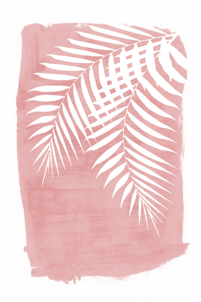 Pink Palm Leaves Foliage Silhouette from amini54