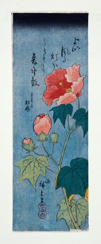 Blühender Mohn. from Ando oder Utagawa Hiroshige