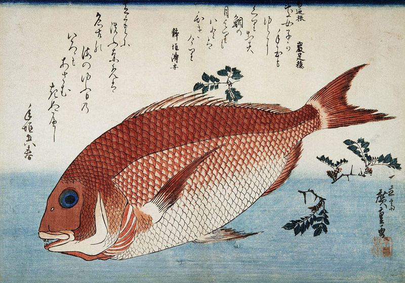 Red Sea Bream from Ando oder Utagawa Hiroshige