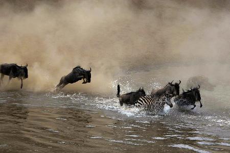 Mara Crossing