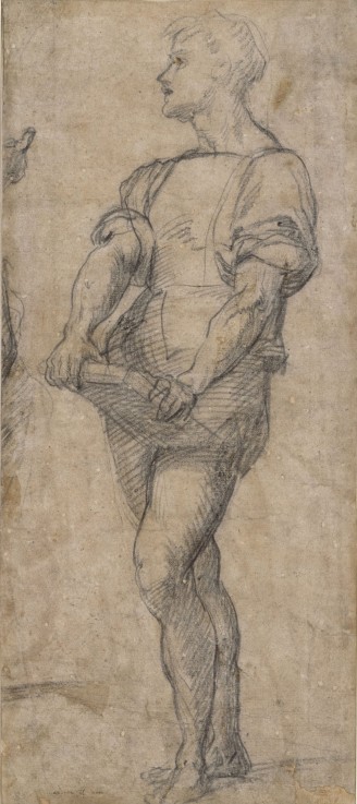 Standing youth holding a book from Andrea del Sarto