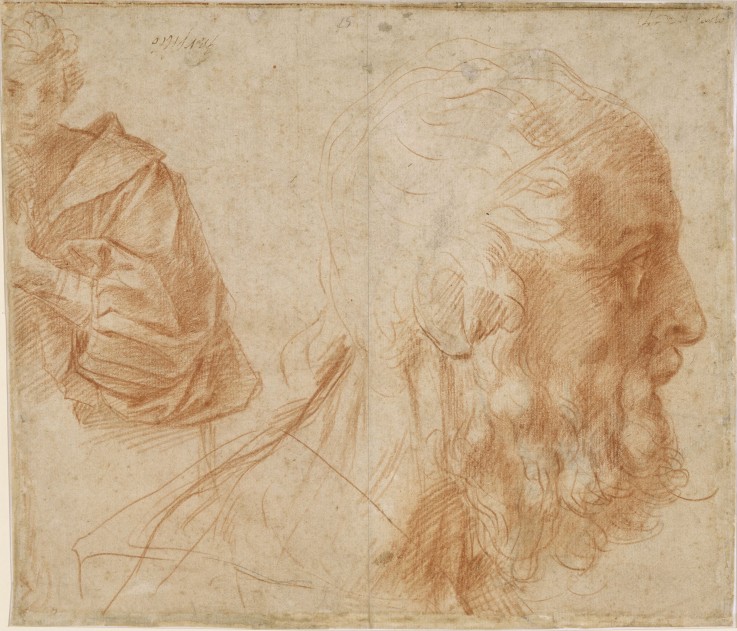 A youth and the head of an old man (Homer?). Study from Andrea del Sarto