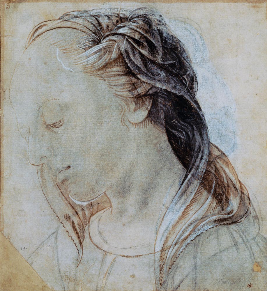 Female Head from Andrea del Verrocchio