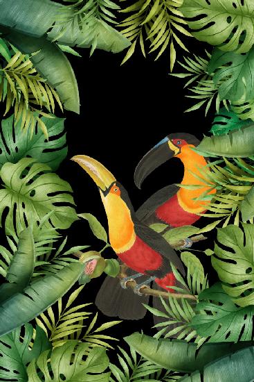 Jungle With Toucans