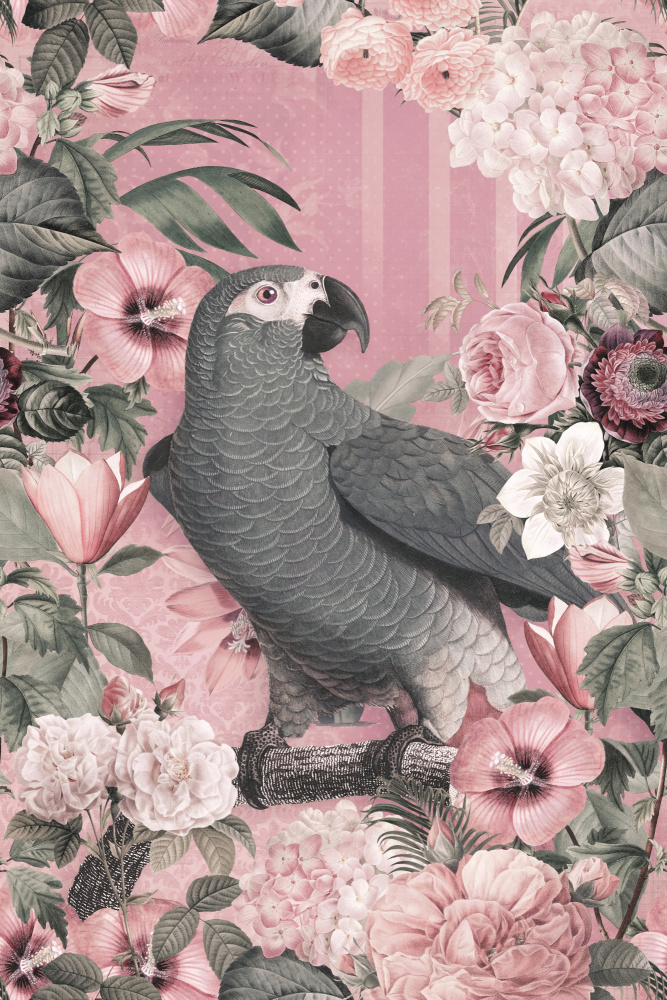 The Parrots Paradise Garden 2 Pastel Pink from Andrea Haase