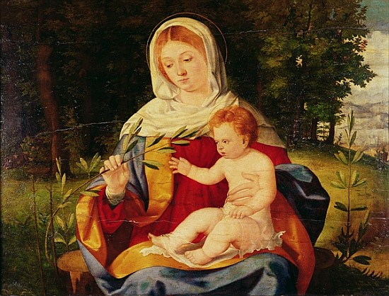 The Virgin and Child with a shoot of Olive, c.1515 from Andrea Previtali