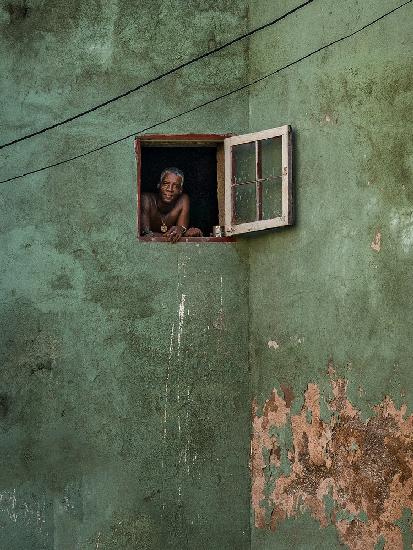 Green Facade