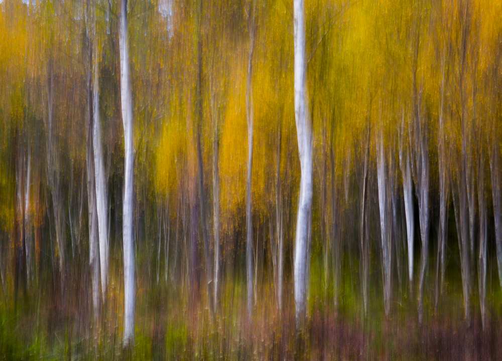 Abstract Fall from Andreas Christensen
