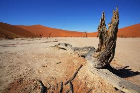Deadvlei Namibia nahe Sossusvlei