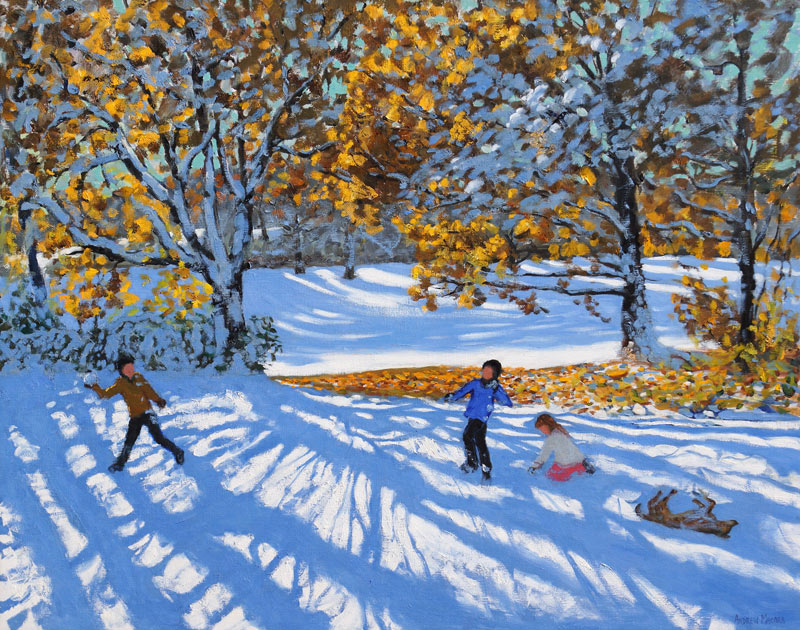 Early snow, Allestree Park from Andrew  Macara
