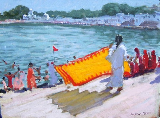 Drying Sari, Pushkar from Andrew  Macara