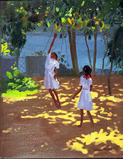 Reaching for Oranges, Bentota, Sri Lanka from Andrew  Macara